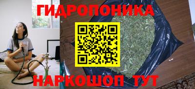 гидра Новозыбков