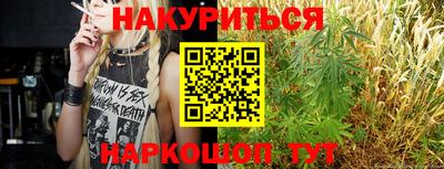 гидра Новозыбков