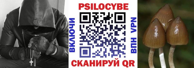 что такое наркотик  Алейск  Галлюциногенные грибы Psilocybe 