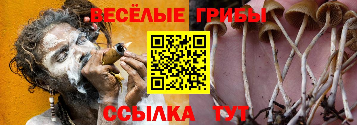 Каннабис Алейск