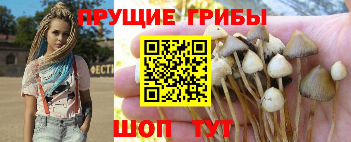 Псилоцибиновые грибы MAGIC MUSHROOMS Алейск