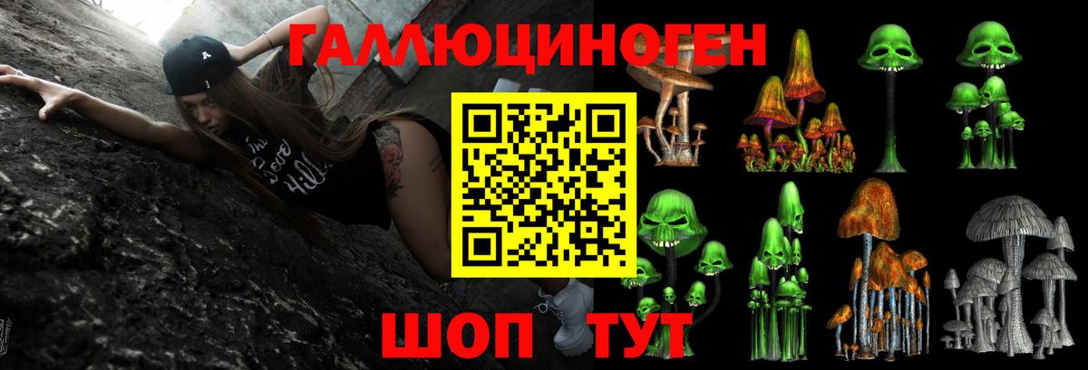 даркнет сайт  Вход с VPN  Алейск  Галлюциногенные грибы Psilocybe  Галлюциногенные грибы Magic Shrooms 